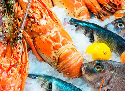 Restaurantes Sobresalientes para comer bien Marbella Altamirano