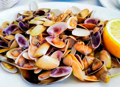 Restaurantes Sobresalientes para comer bien Fuengirola Los Marinos Paco